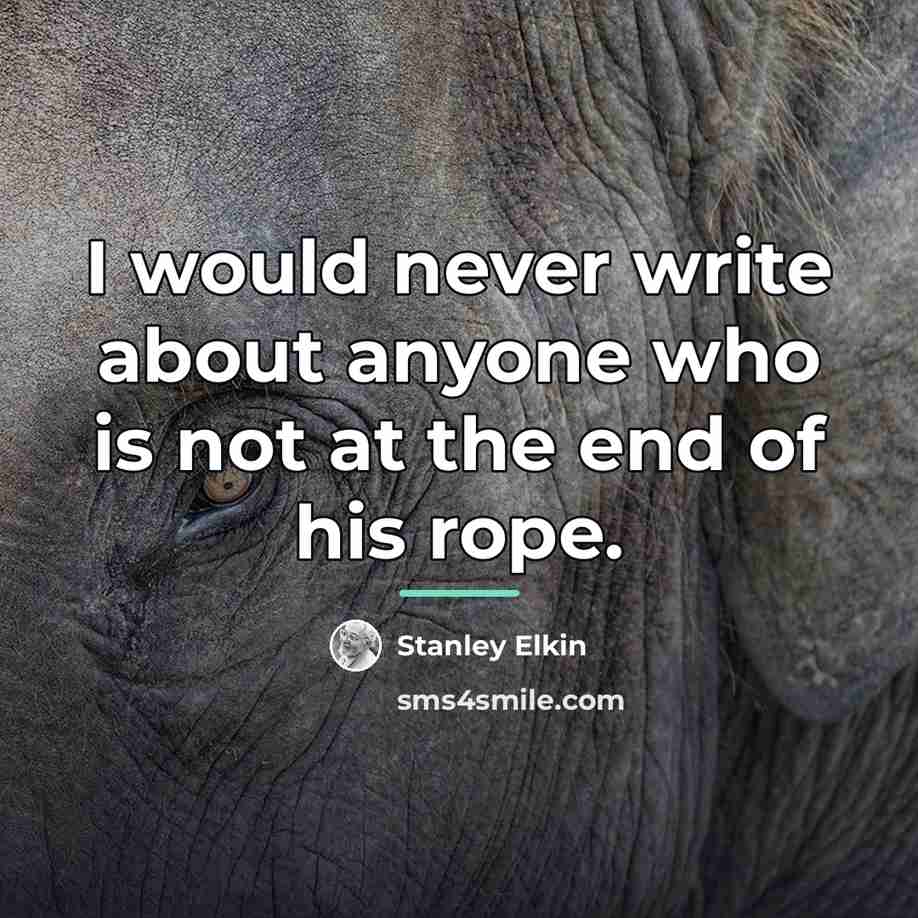 “I would never write about anyone who is not at…” quote by Stanley Elkin