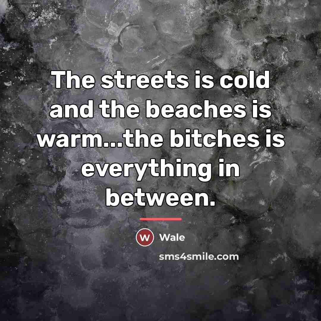 “The streets is cold and the beaches is warm...the bitches…” quote by Wale