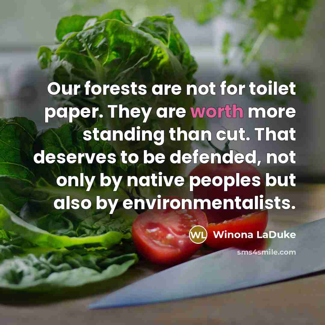 “Our forests are not for toilet paper. They are worth…” quote by Winona LaDuke