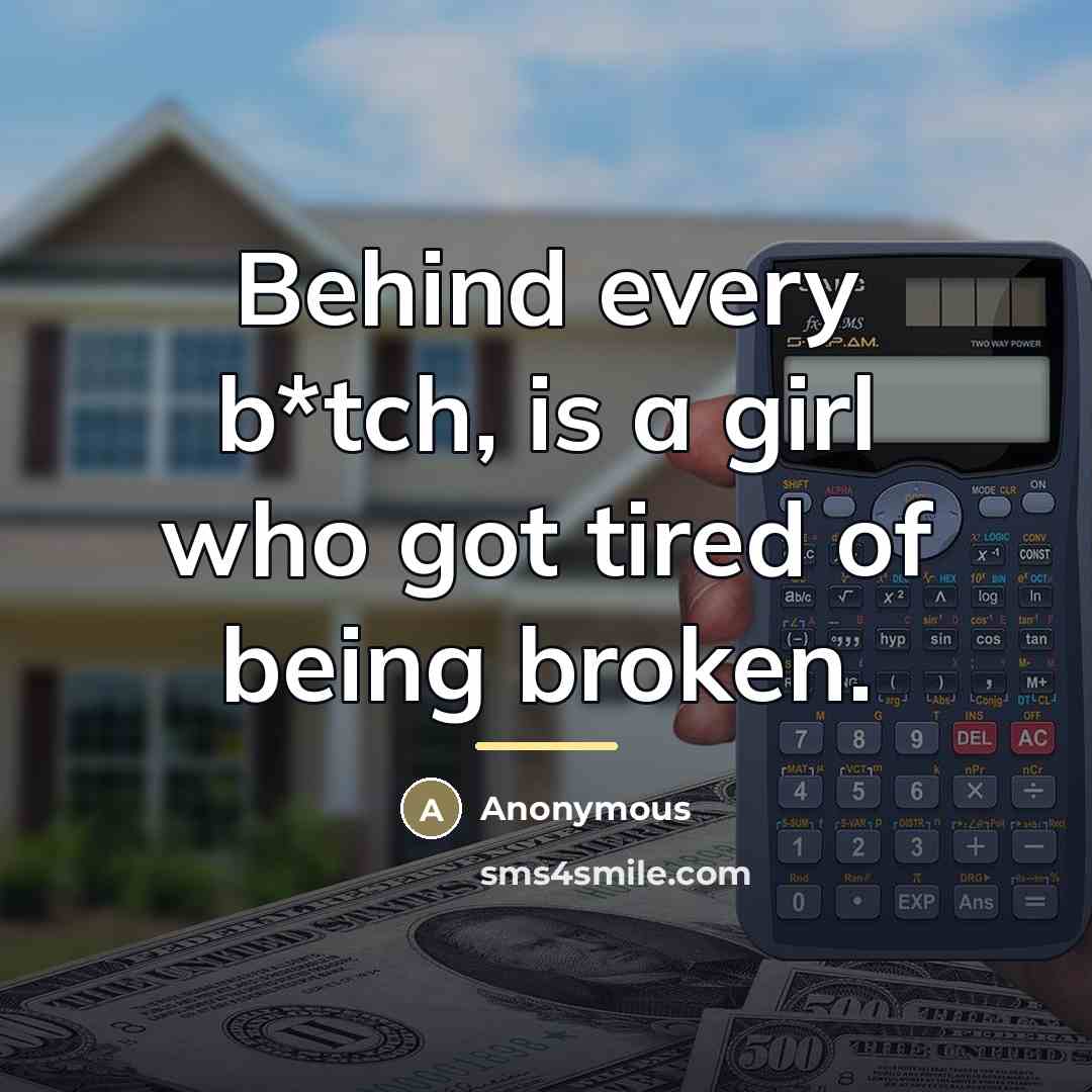 “Behind every b*tch, is a girl who got tired of…” quote by Anonymous