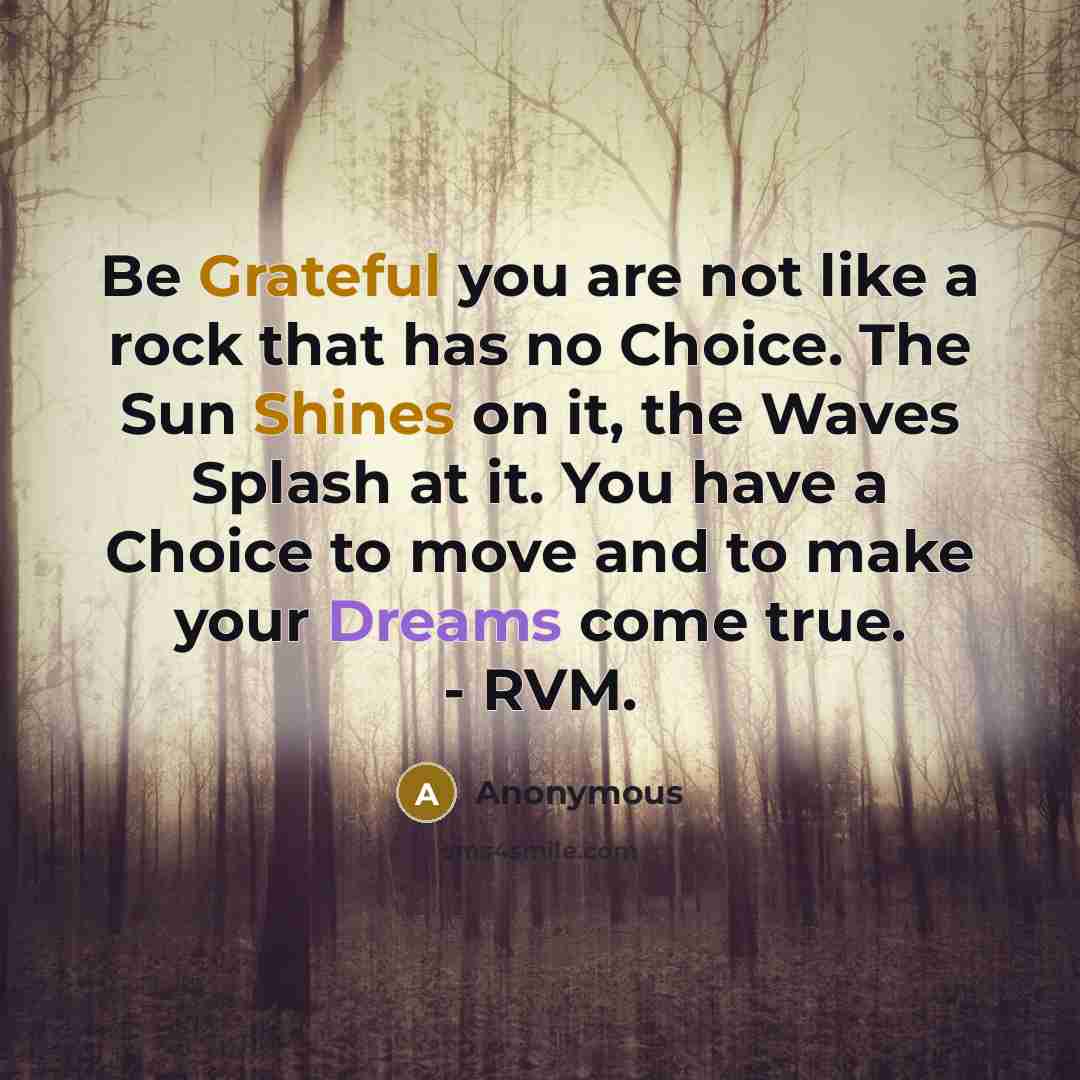 “Be Grateful you are not like a rock that has no Choice. The Sun Shines on it, the Waves Splash at it. You have a Choice to move and to make your Dreams come true. - RVM.” quote by Anonymous