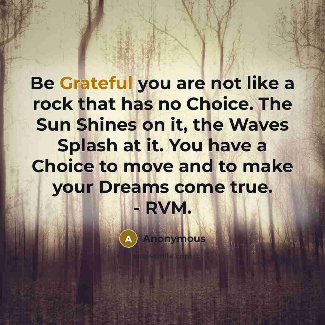 “Be Grateful you are not like a rock that has…” quote by Anonymous