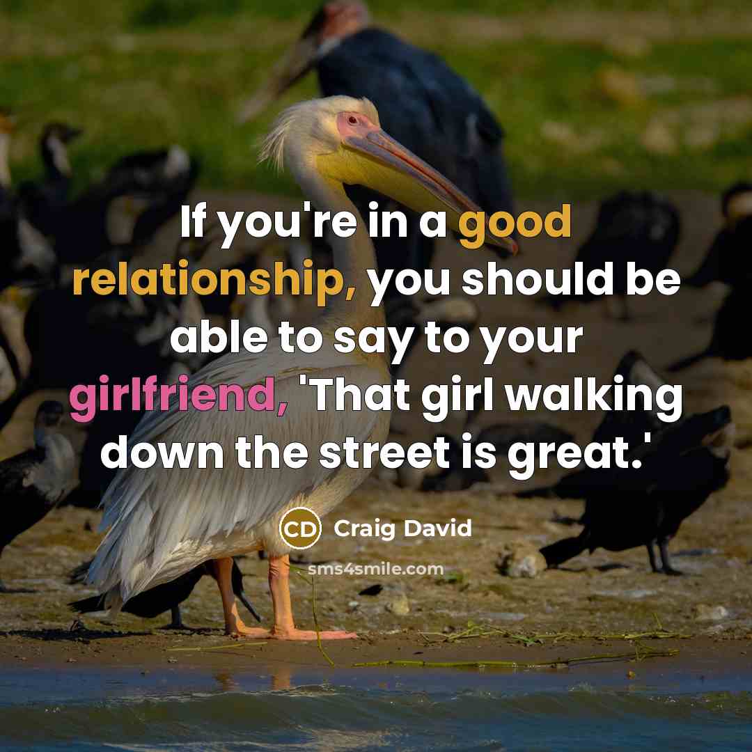 “If you're in a good relationship, you should be able…” quote by Craig David