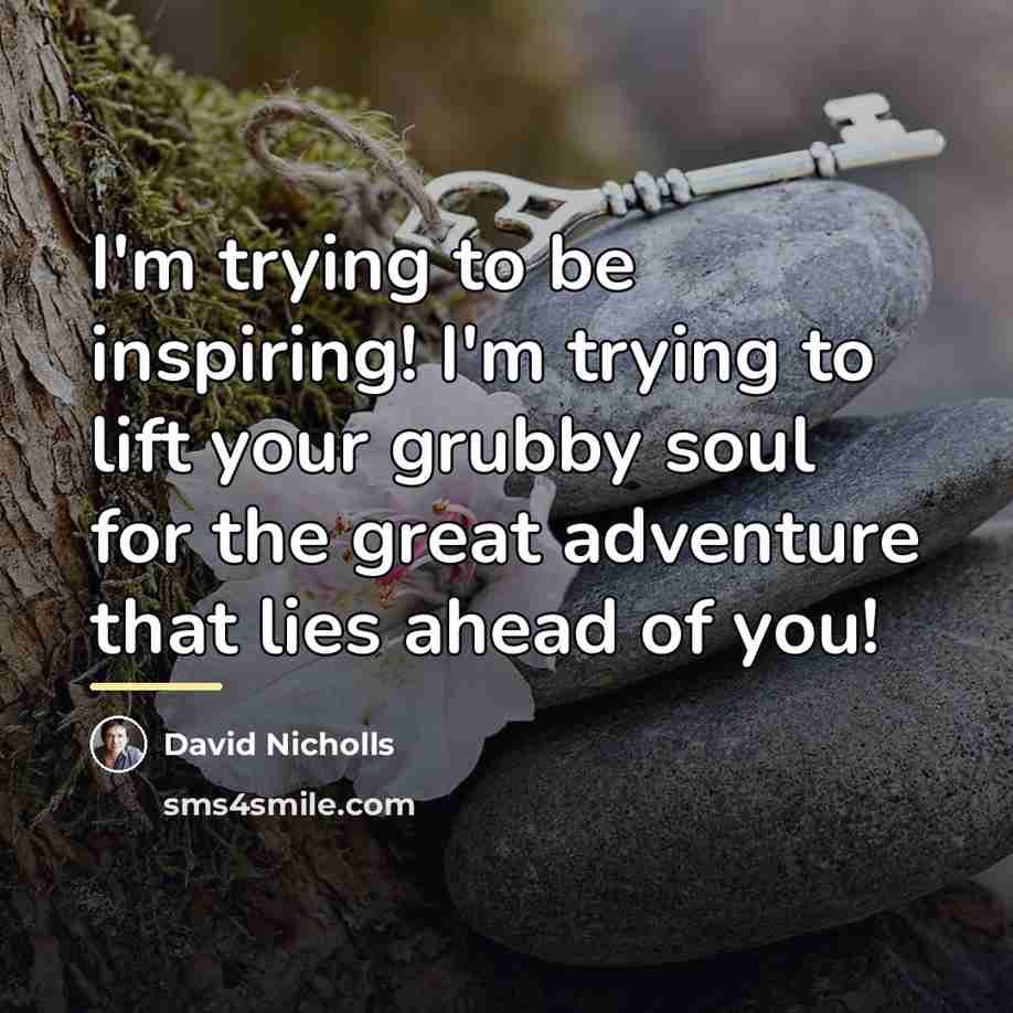 “I'm trying to be inspiring! I'm trying to lift your…” quote by David Nicholls