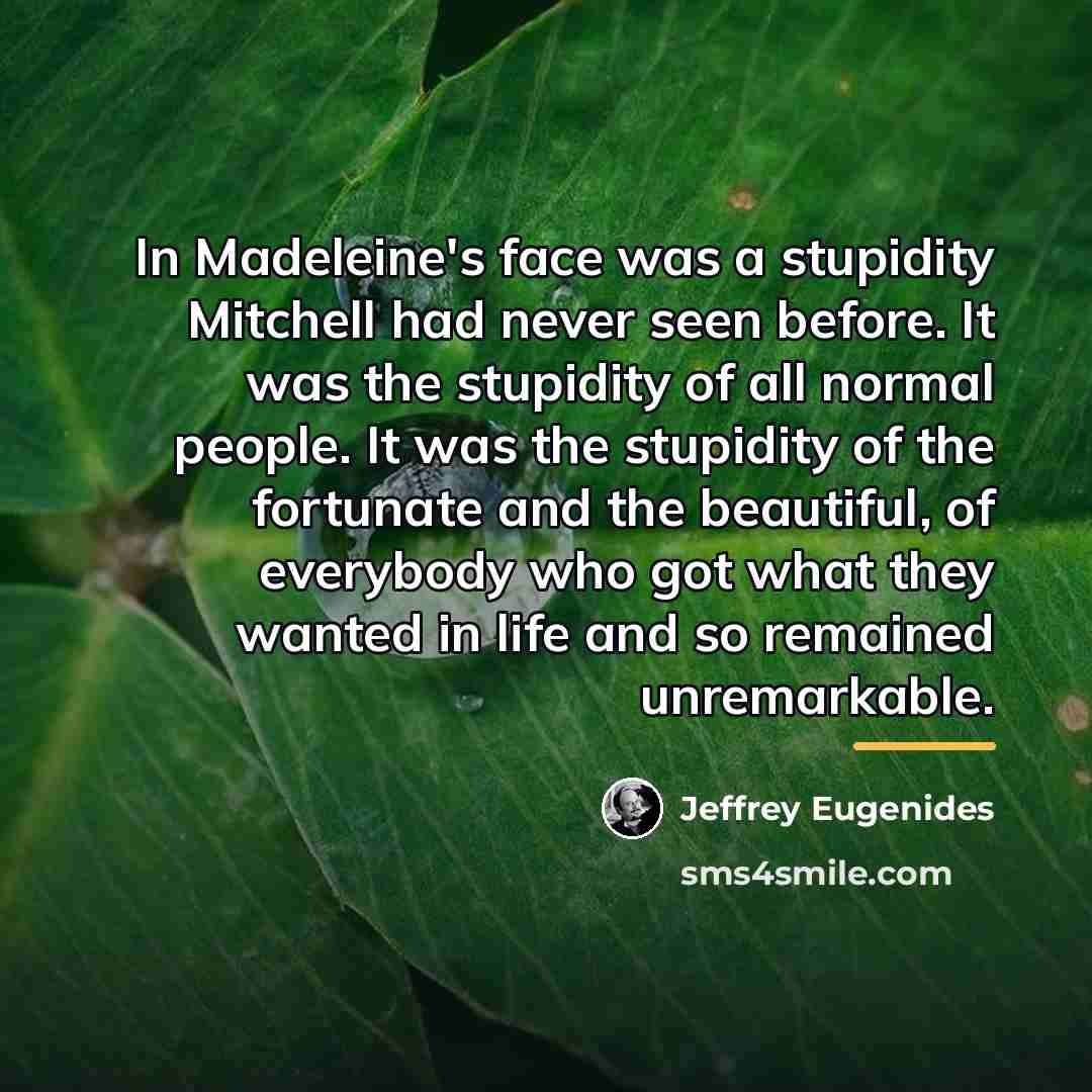 “In Madeleine's face was a stupidity Mitchell had never seen…” quote by Jeffrey Eugenides