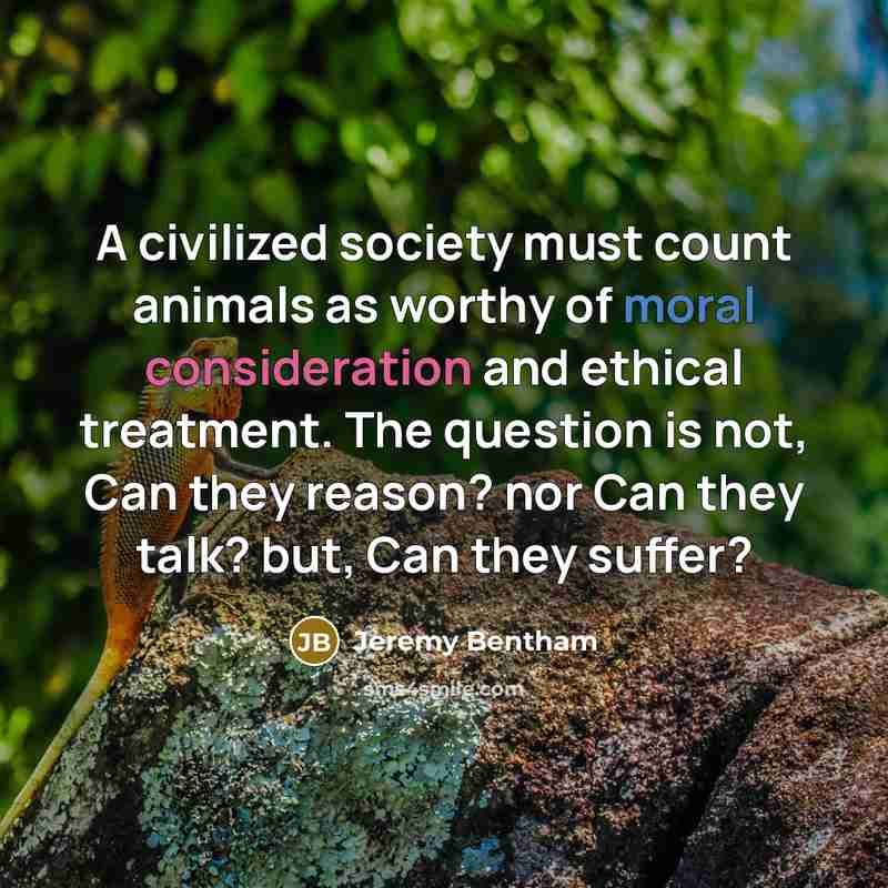 “A civilized society must count animals as worthy of moral…” quote by Jeremy Bentham