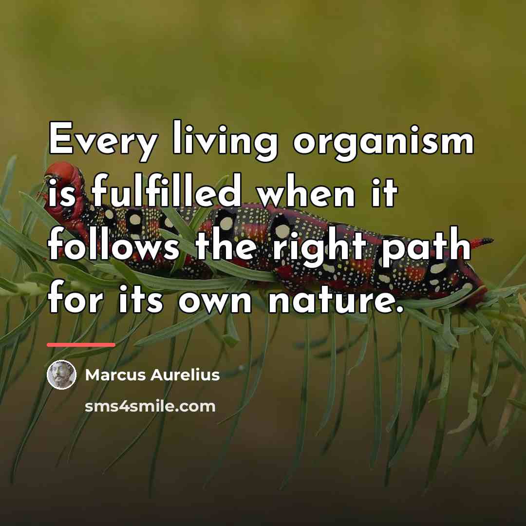 “Every living organism is fulfilled when it follows the right…” quote by Marcus Aurelius