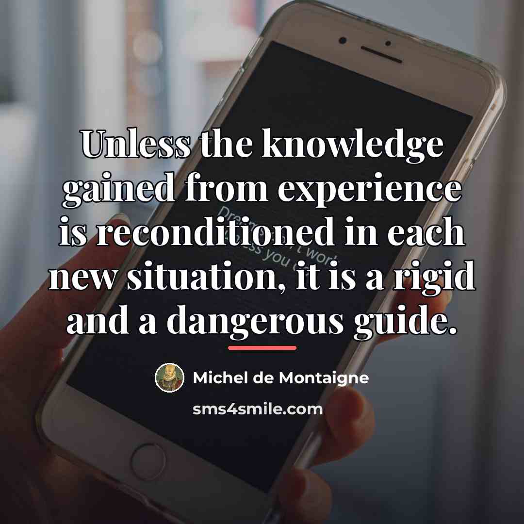 “Unless the knowledge gained from experience is reconditioned in each…” quote by Michel De Montaigne