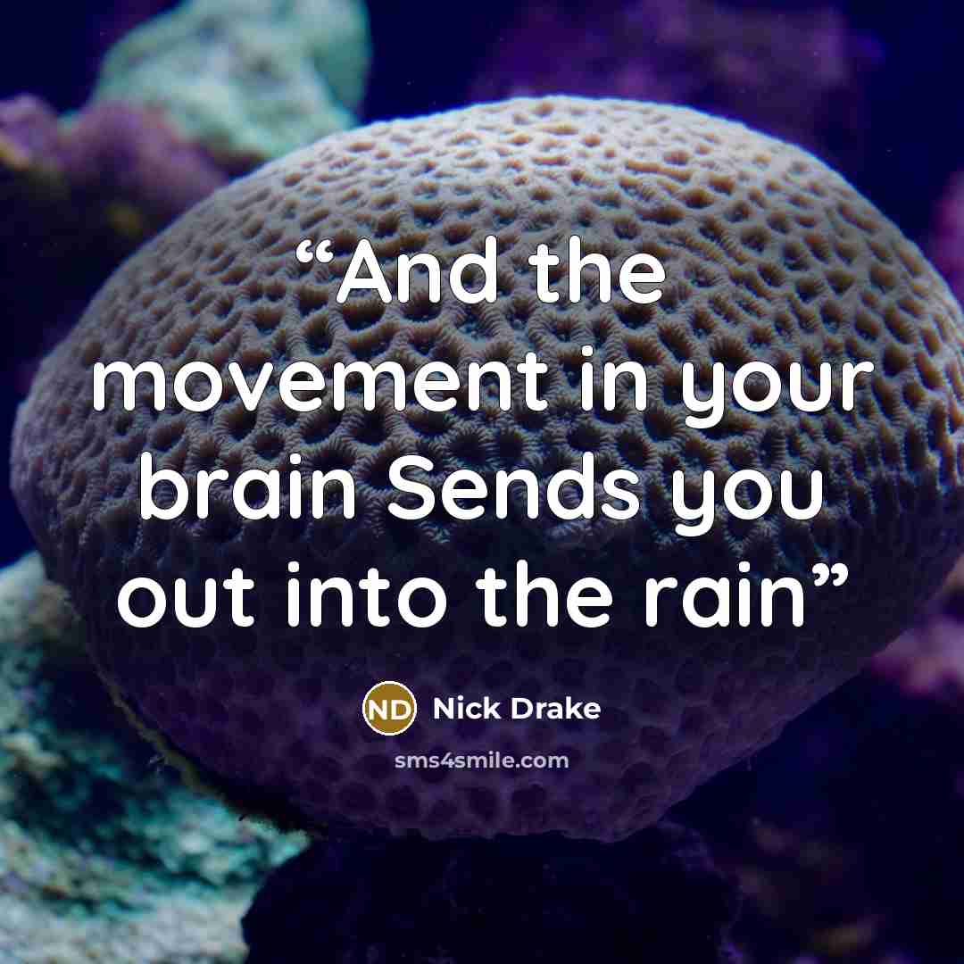 “And the movement in your brain Sends you out into the rain” quote by Nick Drake