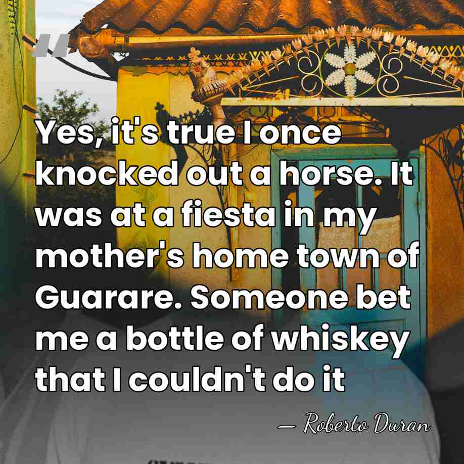 Yes, it's true I once knocked out a horse. It was at&hellip; - Roberto Duran