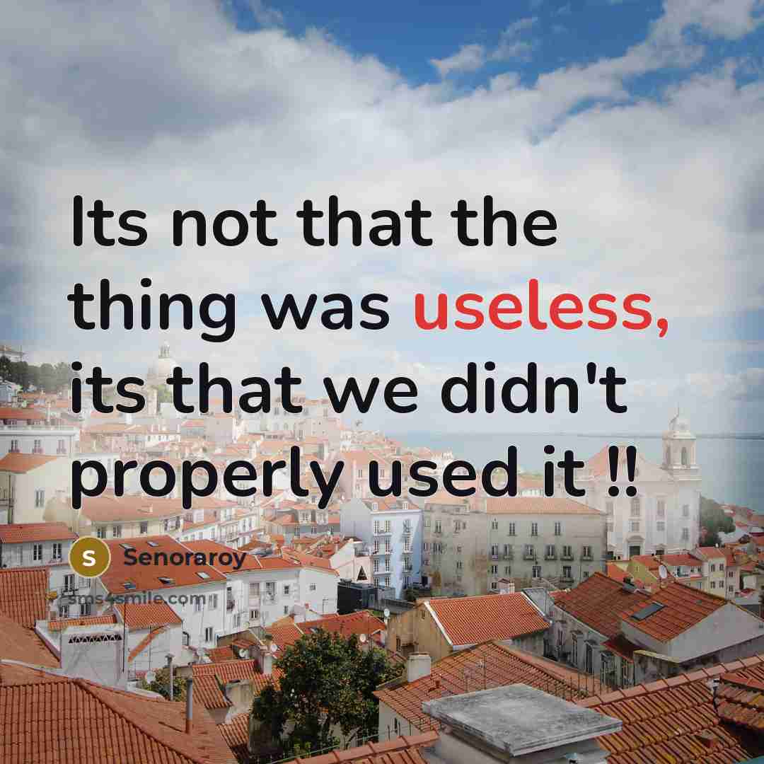 “Its not that the thing was useless, its that we…” quote by Senoraroy