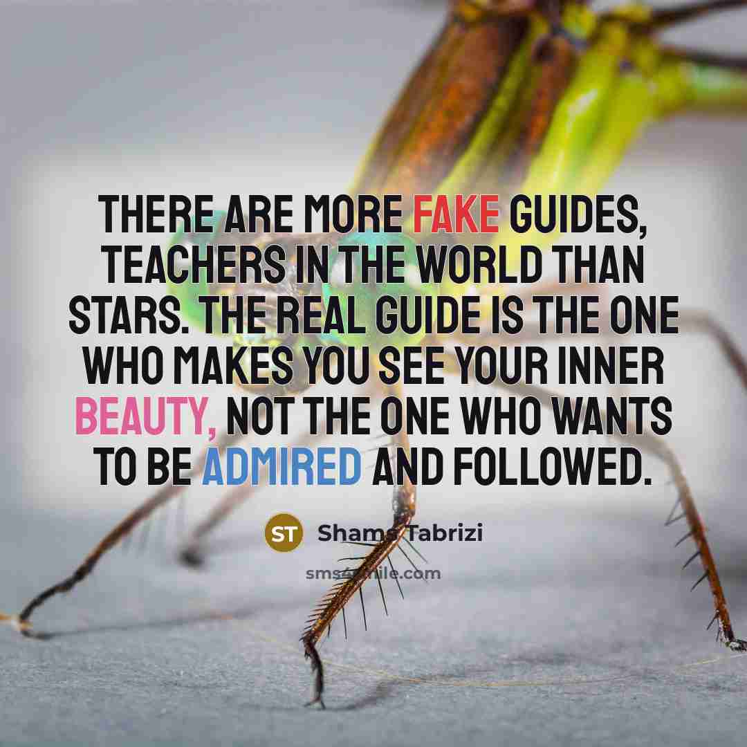 “There are more fake guides, teachers in the world than…” quote by Shams Tabrizi