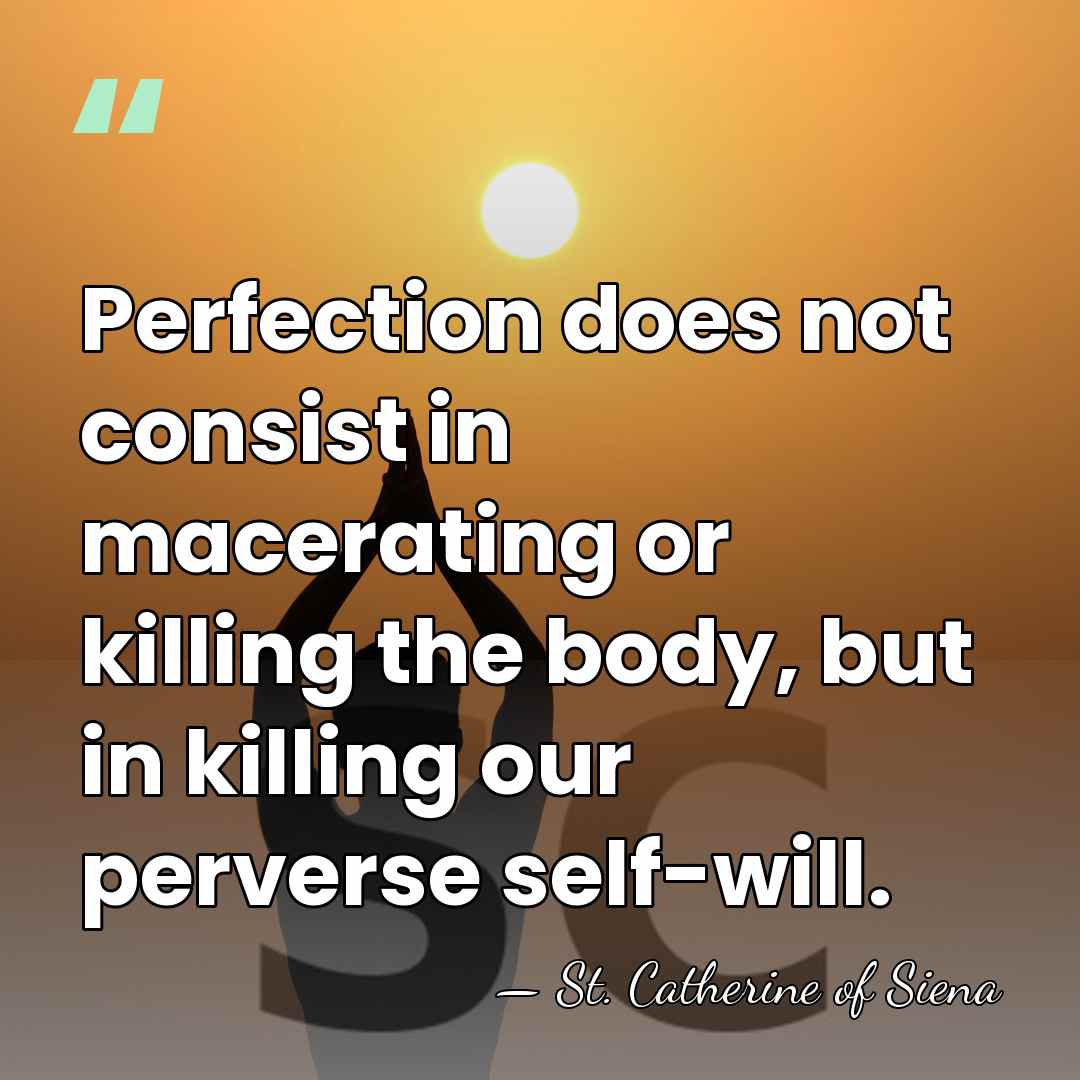 Perfection does not consist in macerating or killing the body, but in&hellip; - St. Catherine of Siena