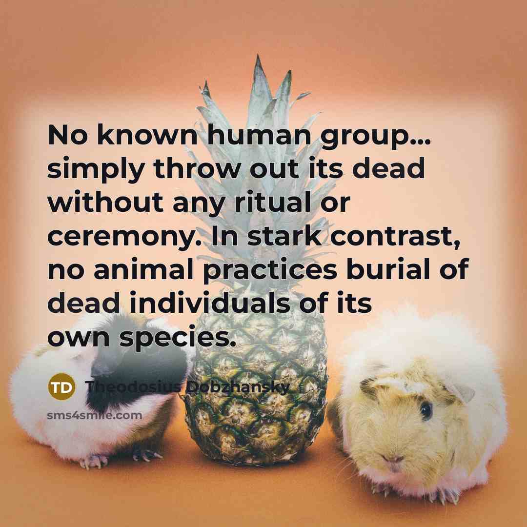 “No known human group... simply throw out its dead without…” quote by Theodosius Dobzhansky