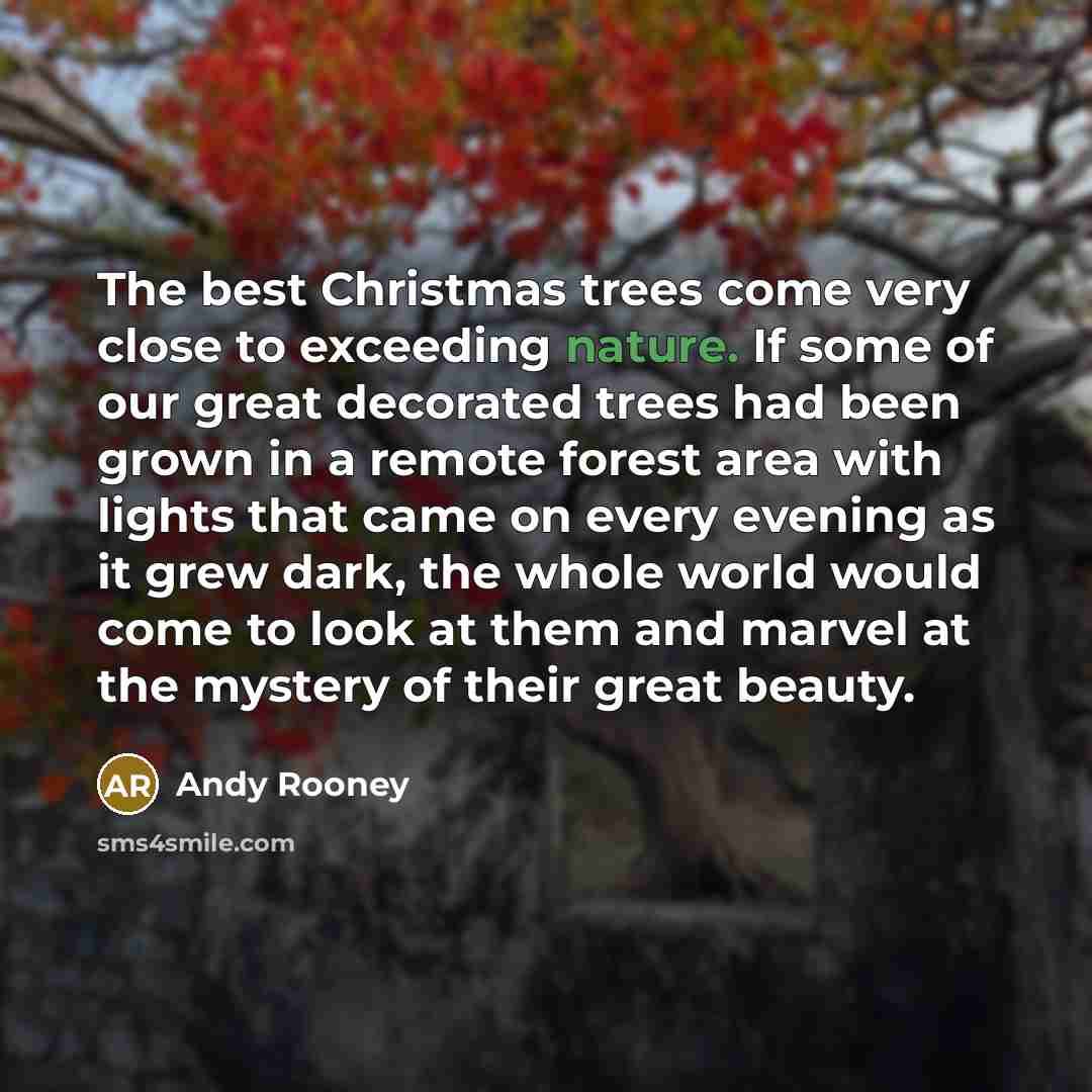 “The best Christmas trees come very close to exceeding nature.…” quote by Andy Rooney