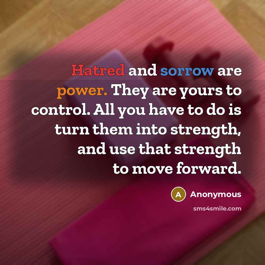 “Hatred and sorrow are power. They are yours to control. All you have to do is turn them into strength, and use that strength to move forward.” quote by Anonymous