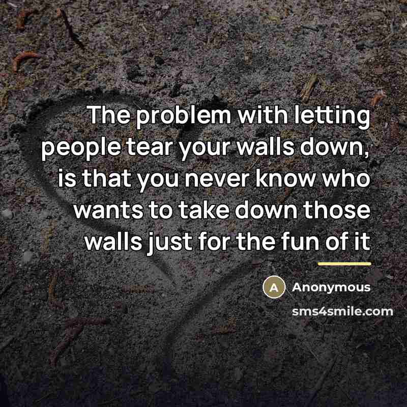 “The problem with letting people tear your walls down, is…” quote by Anonymous