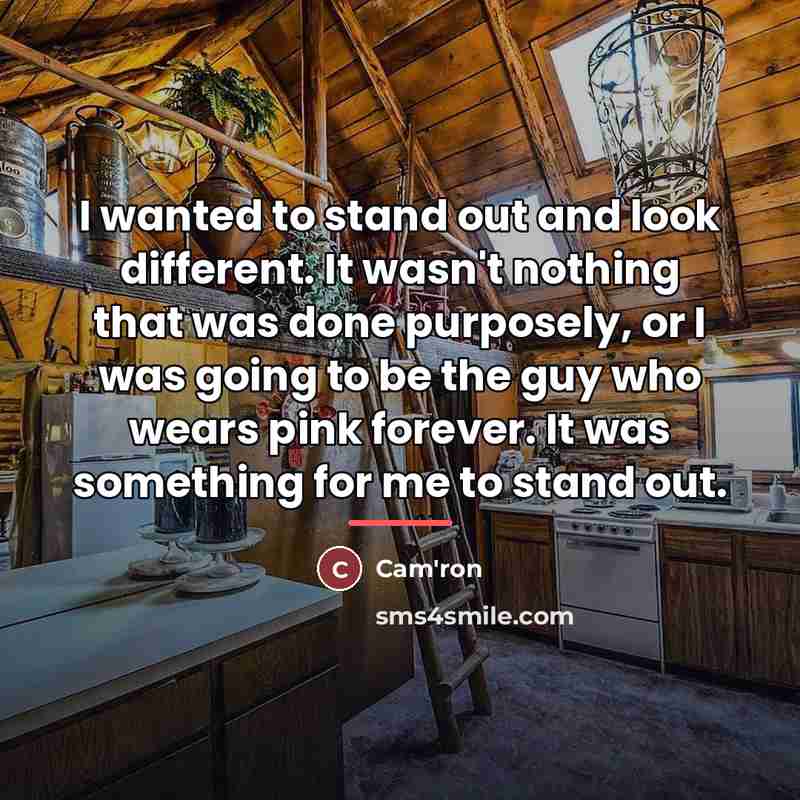 “I wanted to stand out and look different. It wasn't…” quote by Cam'ron