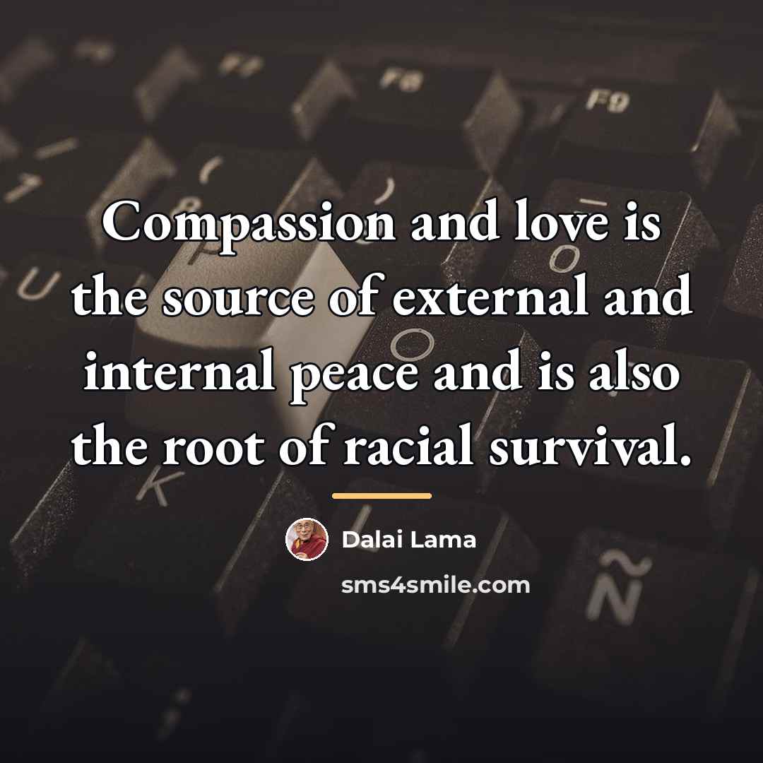“Compassion and love is the source of external and internal…” quote by Dalai Lama