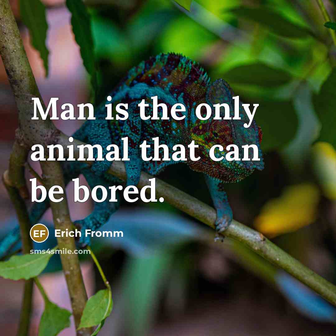 “Man is the only animal that can be bored.…” quote by Erich Fromm