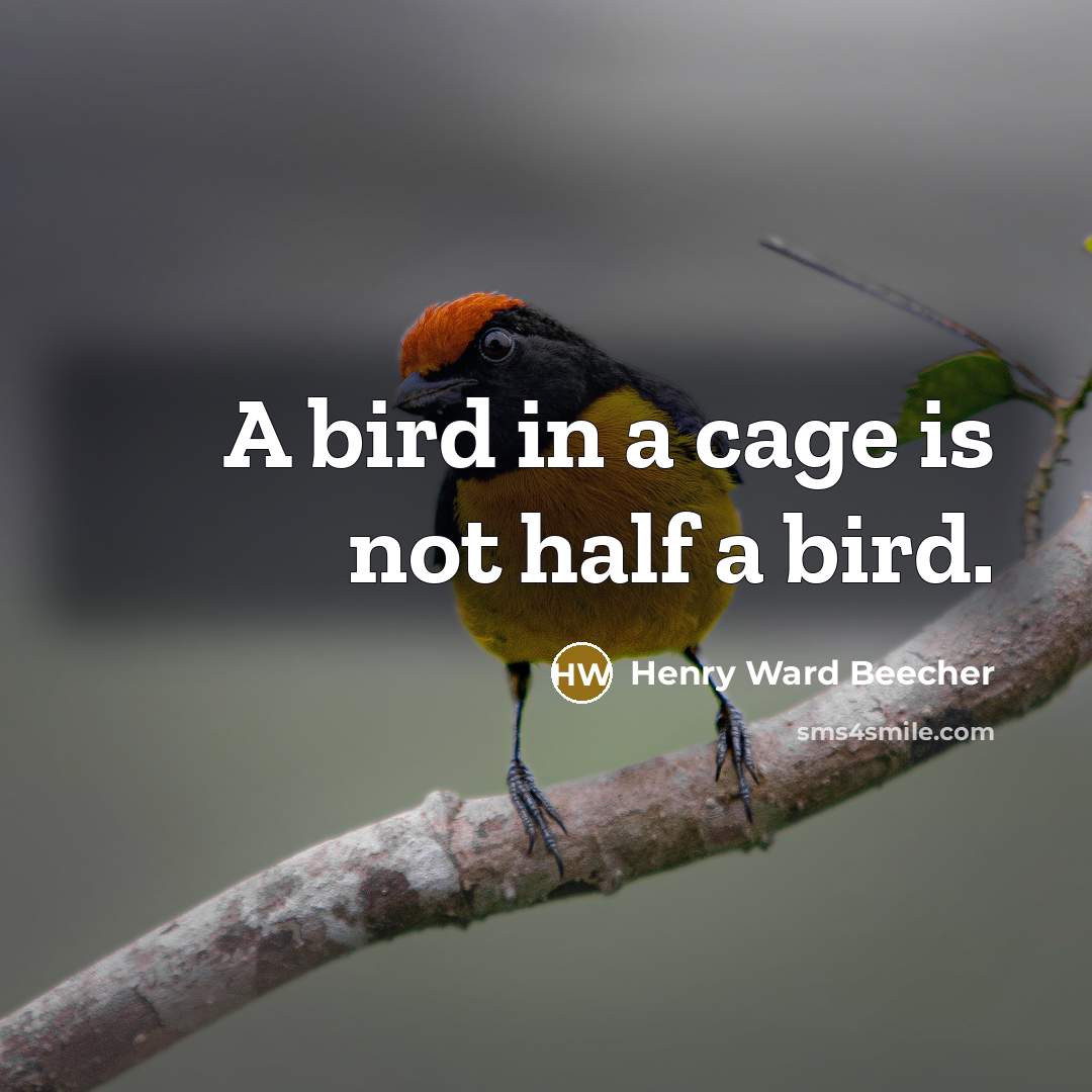 “A bird in a cage is not half a bird.…” quote by Henry Ward Beecher