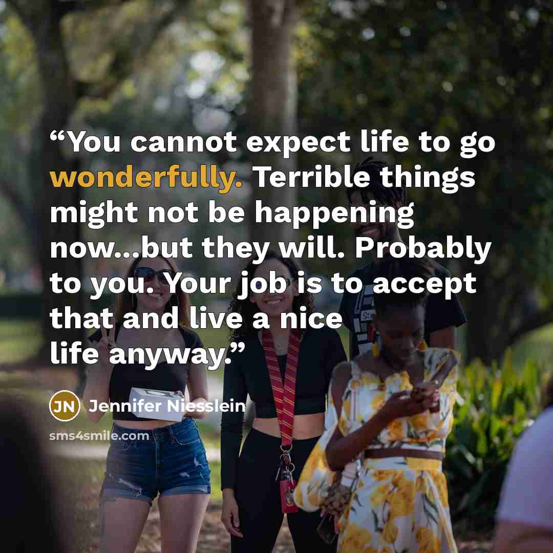 “You cannot expect life to go wonderfully. Terrible things might not be happening now...but they will. Probably to you. Your job is to accept that and live a nice life anyway.” quote by Jennifer Niesslein