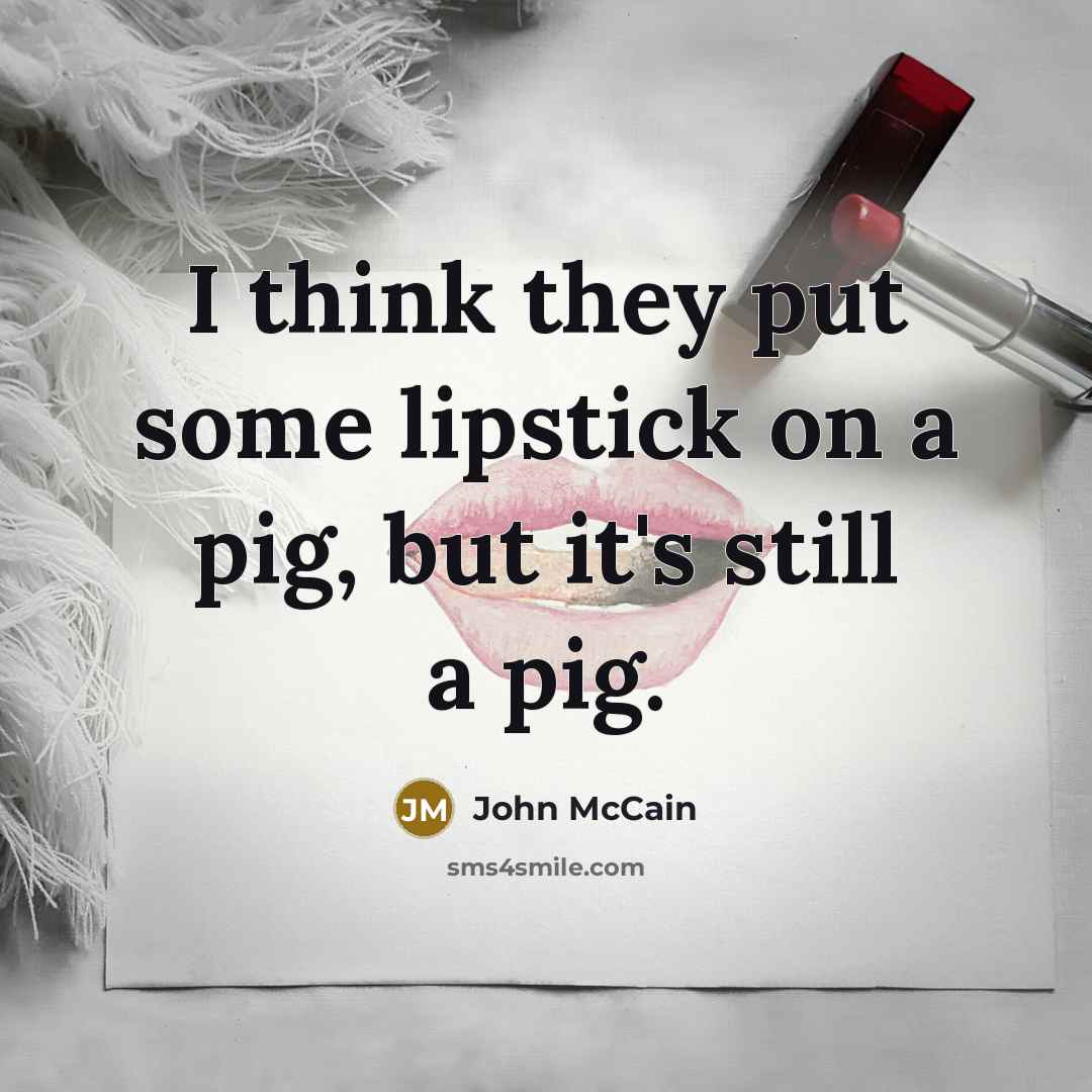 “I think they put some lipstick on a pig, but…” quote by John McCain