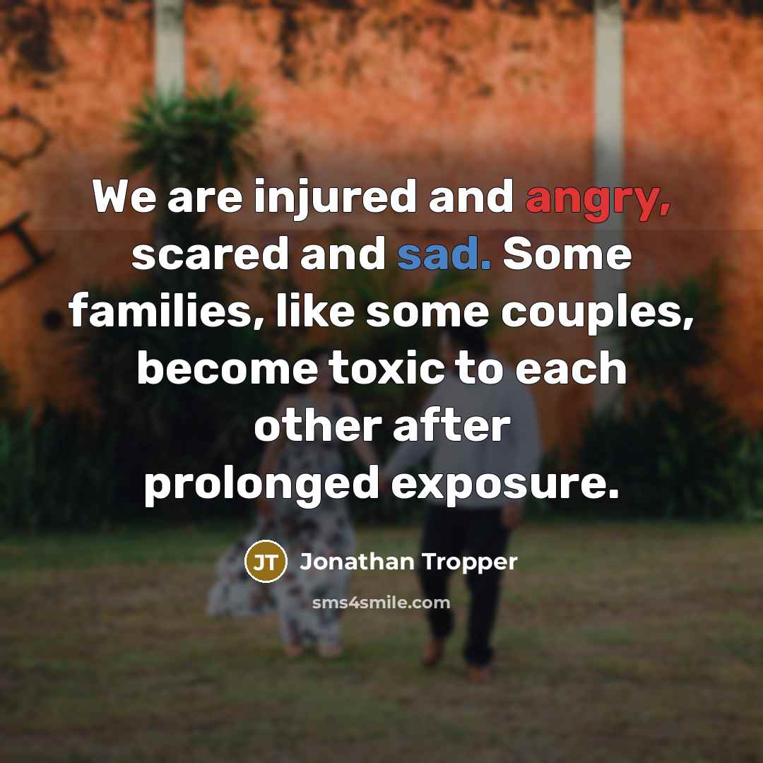 “We are injured and angry, scared and sad. Some families,…” quote by Jonathan Tropper