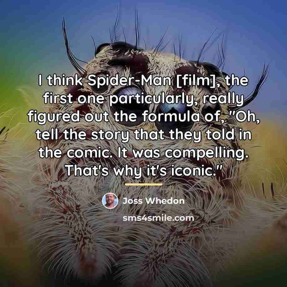 “I think Spider-Man [film], the first one particularly, really figured…” quote by Joss Whedon