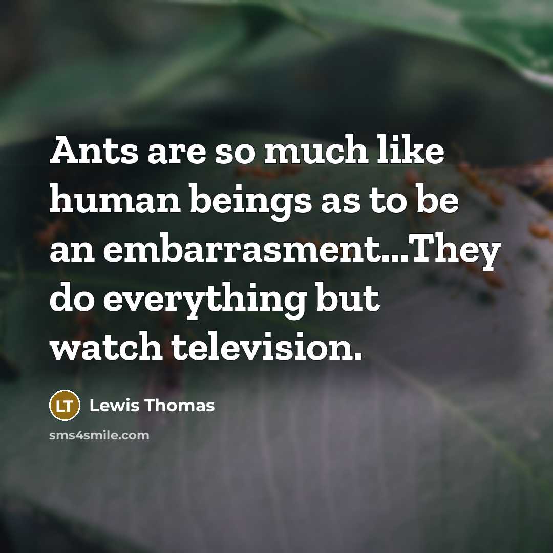 “Ants are so much like human beings as to be…” quote by Lewis Thomas