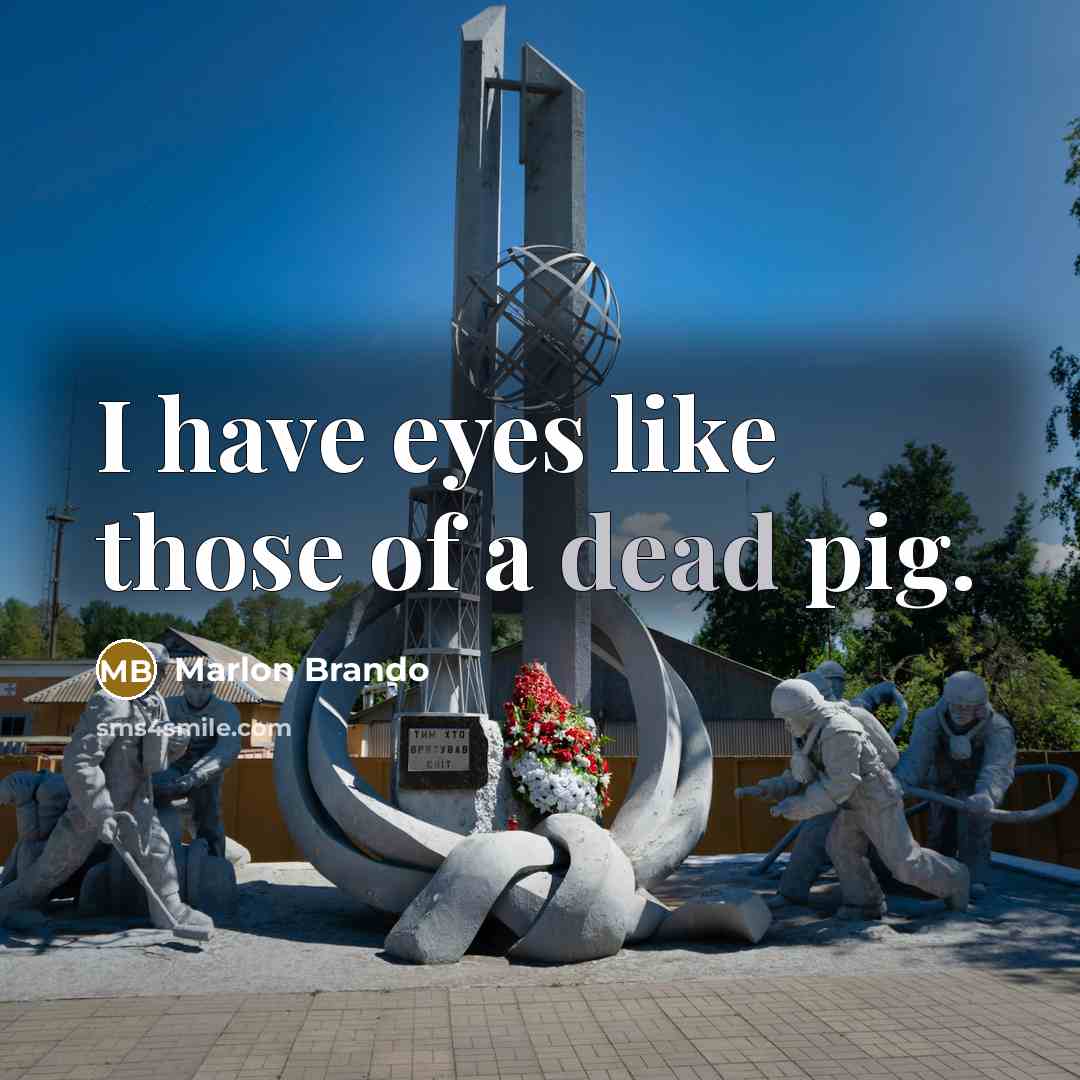 “I have eyes like those of a dead pig.” quote by Marlon Brando