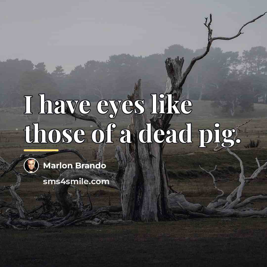 “I have eyes like those of a dead pig.…” quote by Marlon Brando