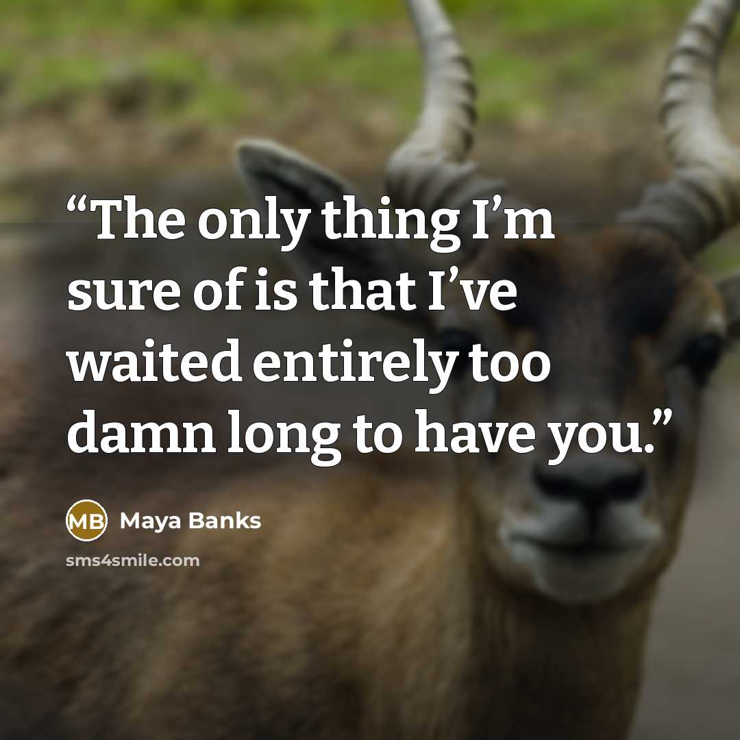 “The only thing I’m sure of is that I’ve waited entirely too damn long to have you.” quote by Maya Banks