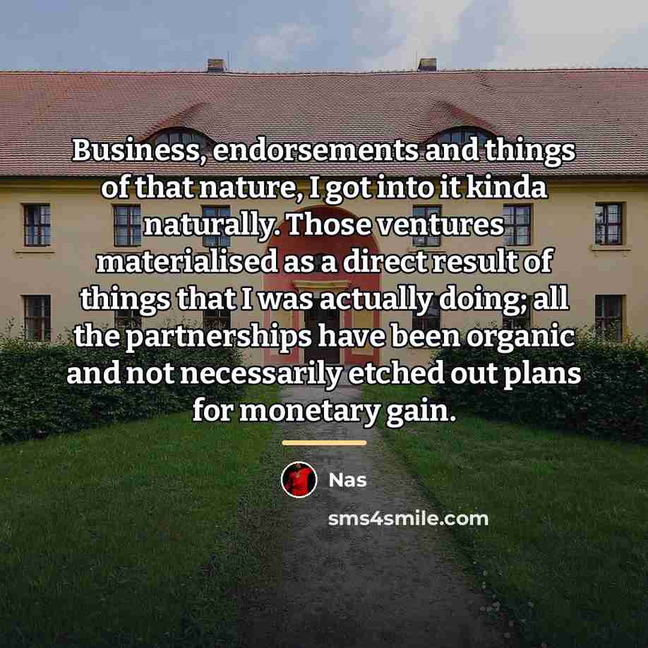 “Business, endorsements and things of that nature, I got into…” quote by Nas