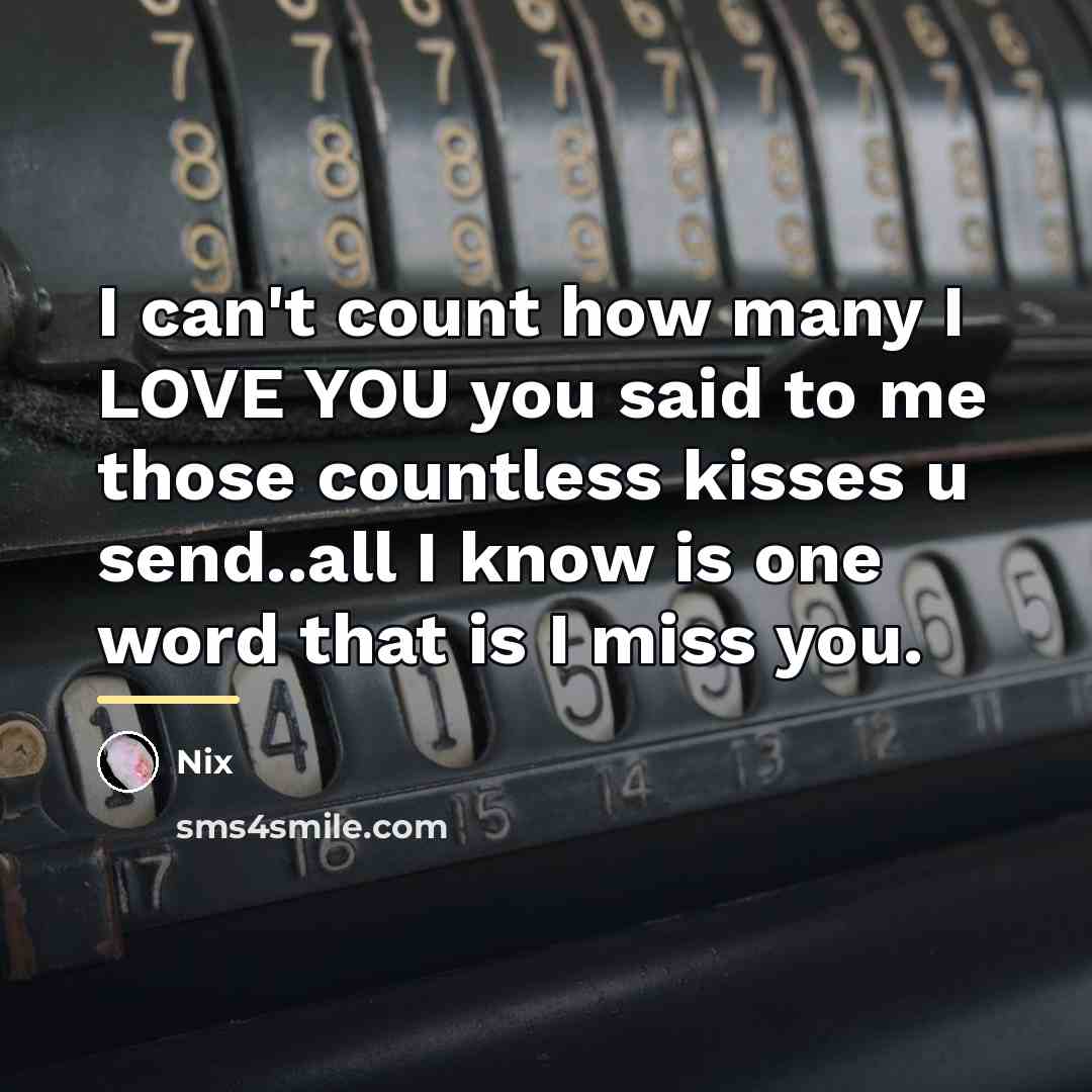 “I can't count how many I LOVE YOU you said…” quote by Nix