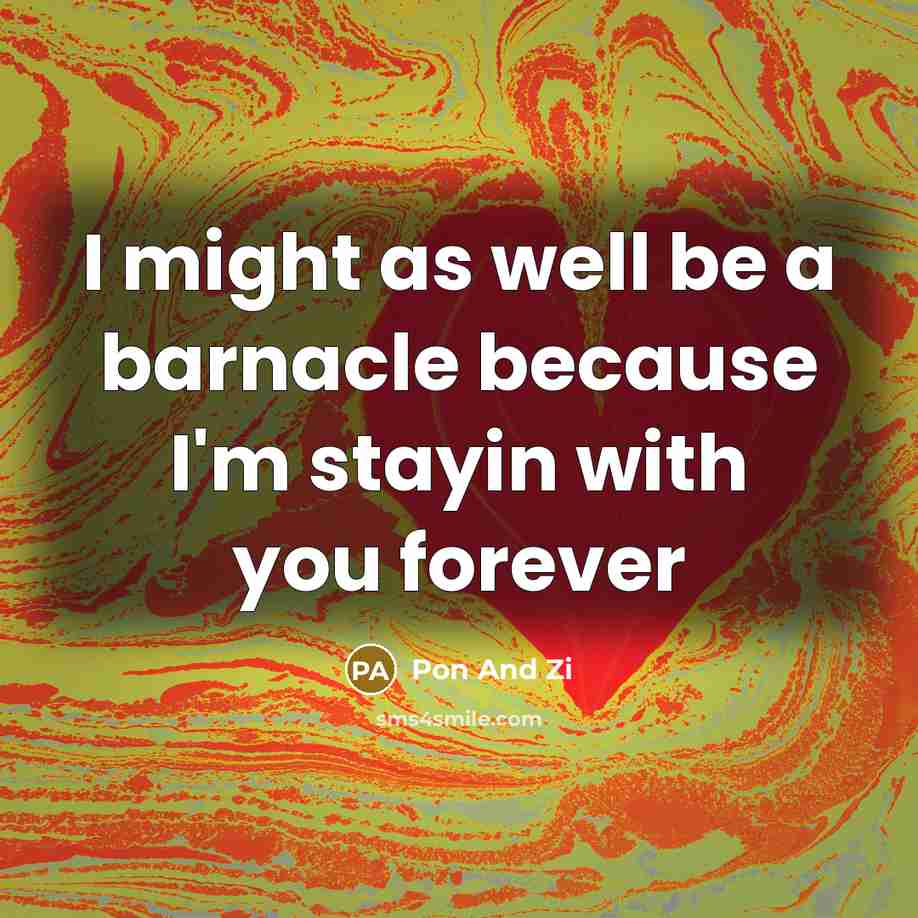 “I might as well be a barnacle because I'm stayin with you forever” quote by Pon And Zi