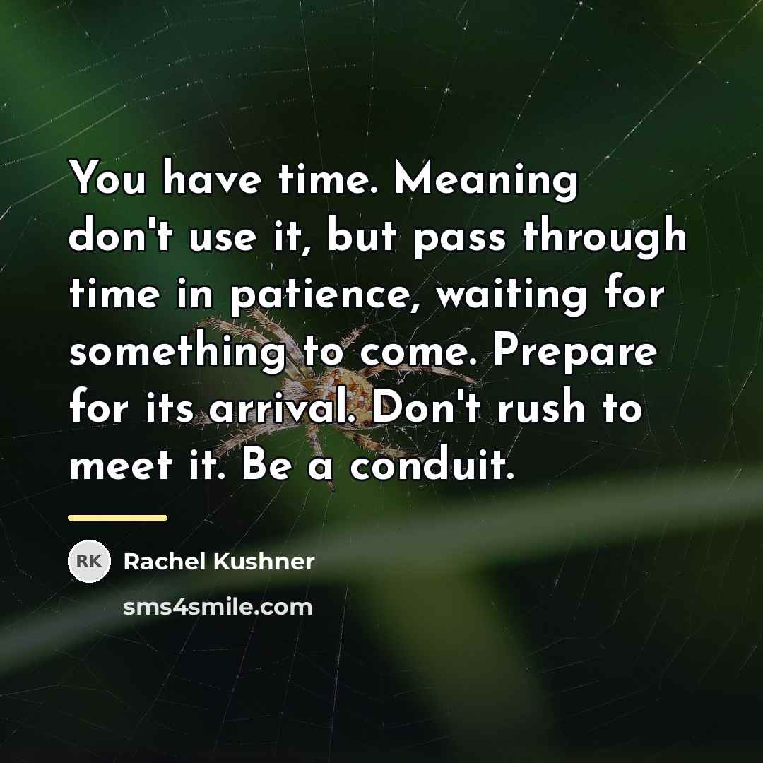 “You have time. Meaning don't use it, but pass through…” quote by Rachel Kushner