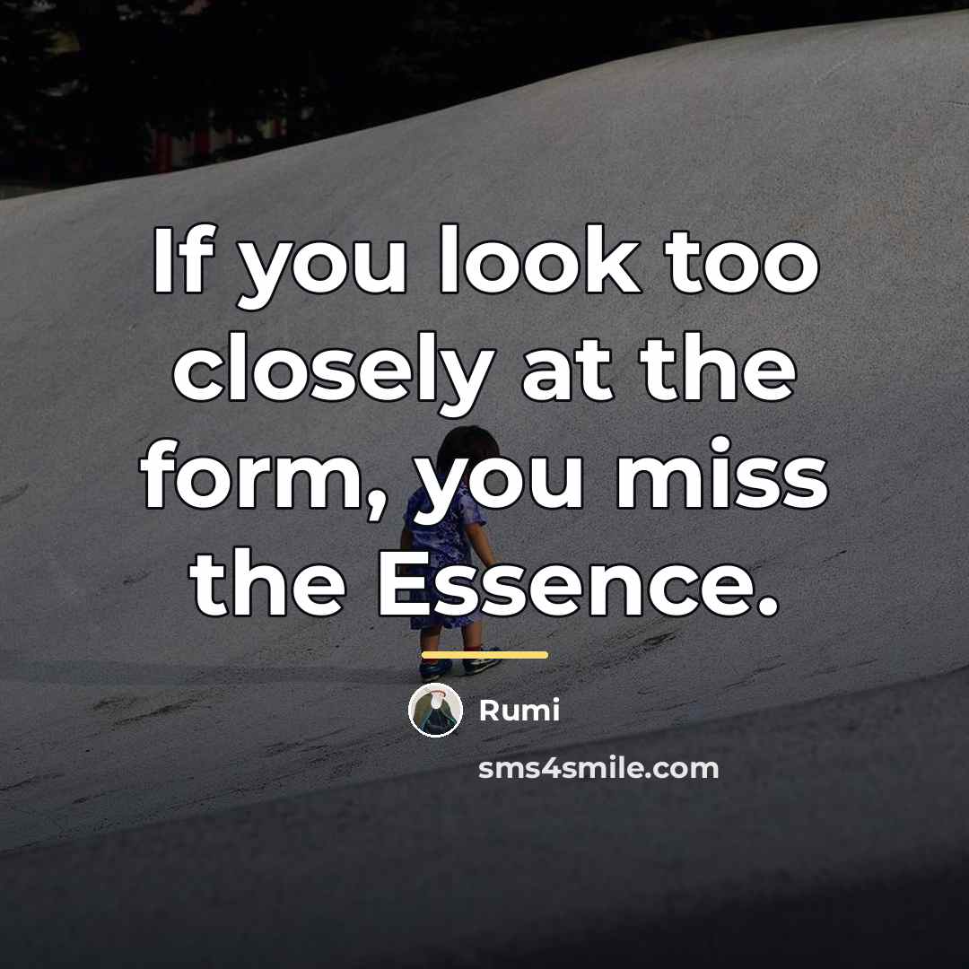 “If you look too closely at the form, you miss…” quote by Rumi