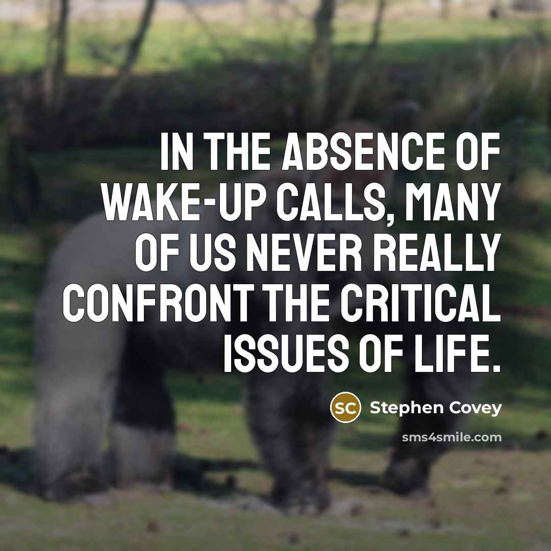 “In the absence of wake-up calls, many of us never…” quote by Stephen Covey