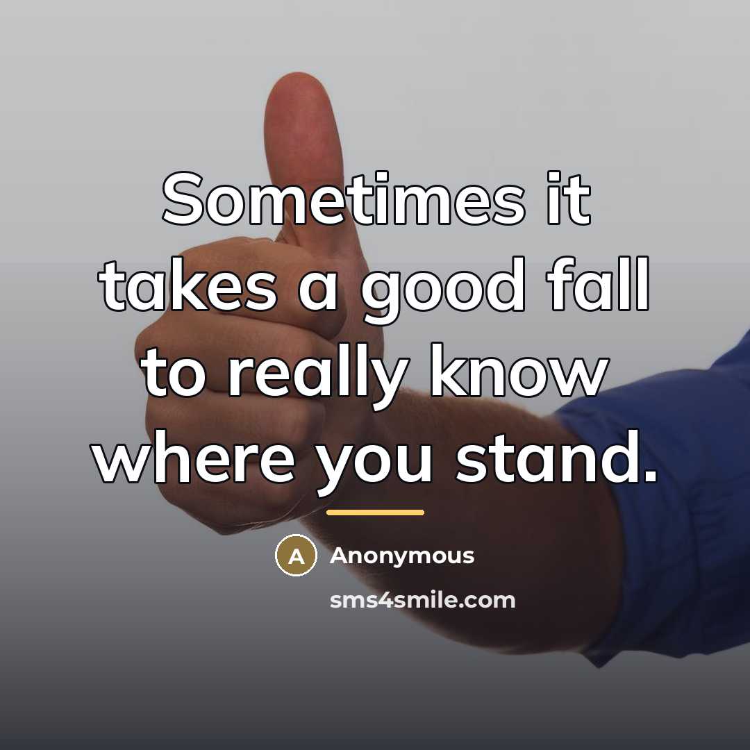 “Sometimes it takes a good fall to really know where…” quote by Anonymous