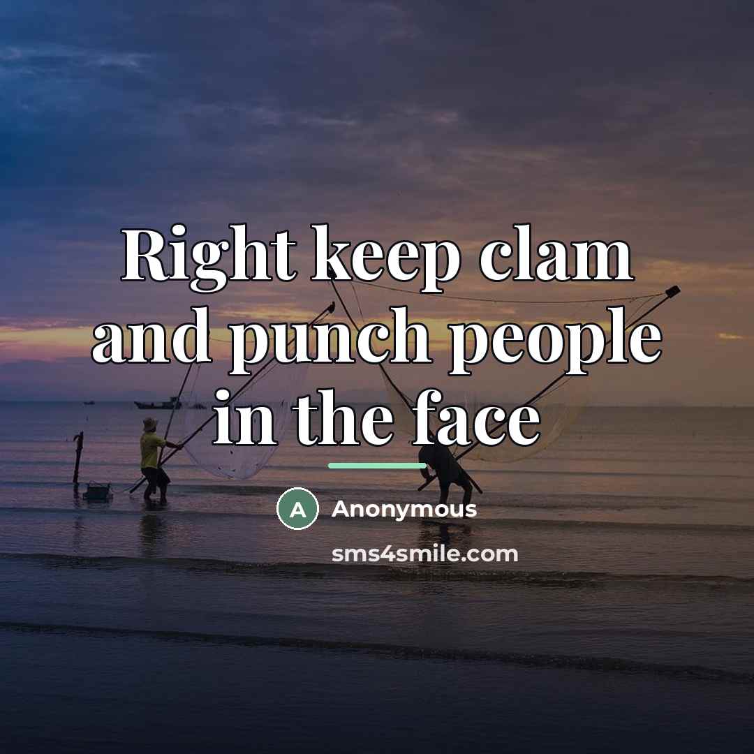 “Right keep clam and punch people in the face…” quote by Anonymous