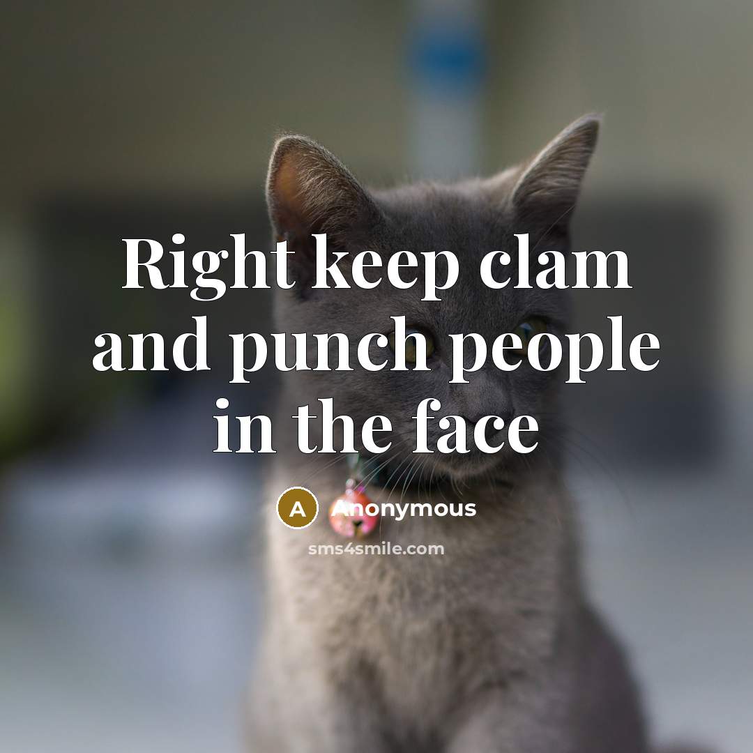 “Right keep clam and punch people in the face” quote by Anonymous