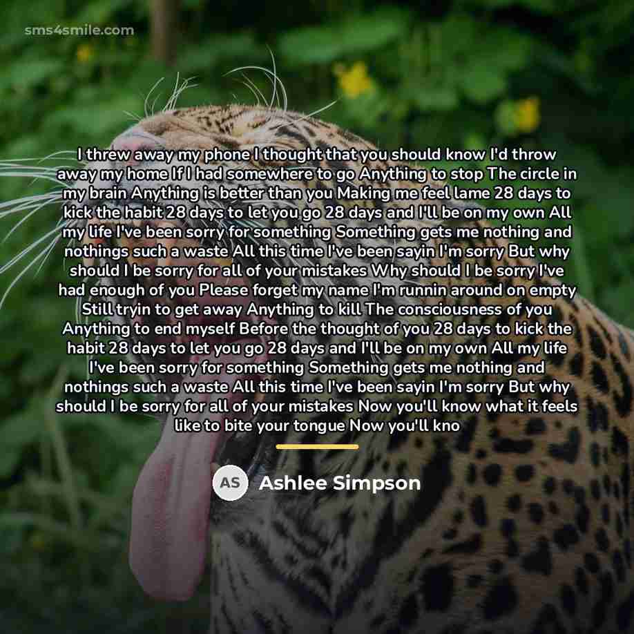 “I threw away my phone I thought that you should…” quote by Ashlee Simpson