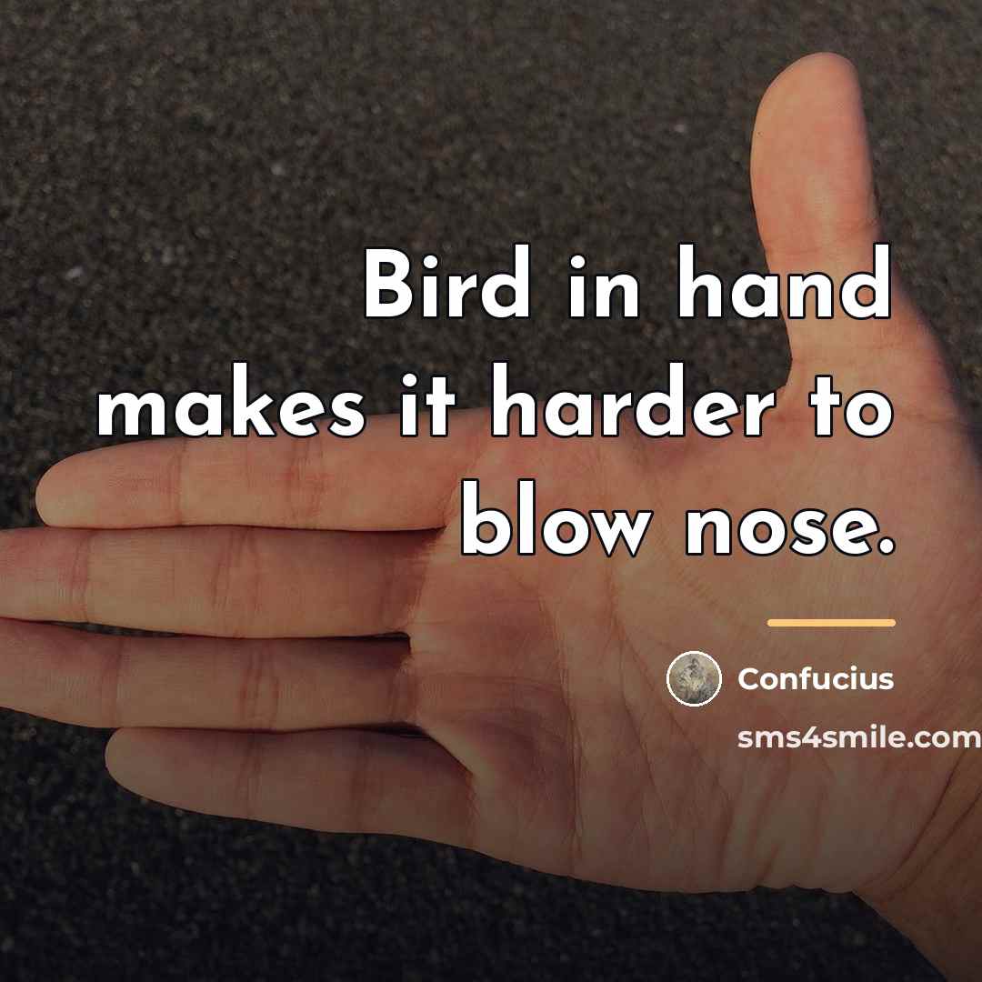 “Bird in hand makes it harder to blow nose.…” quote by Confucius