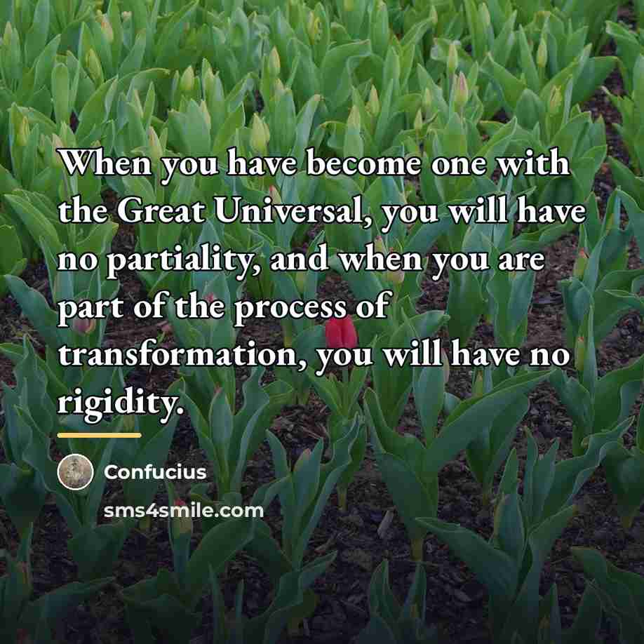 “When you have become one with the Great Universal, you…” quote by Confucius