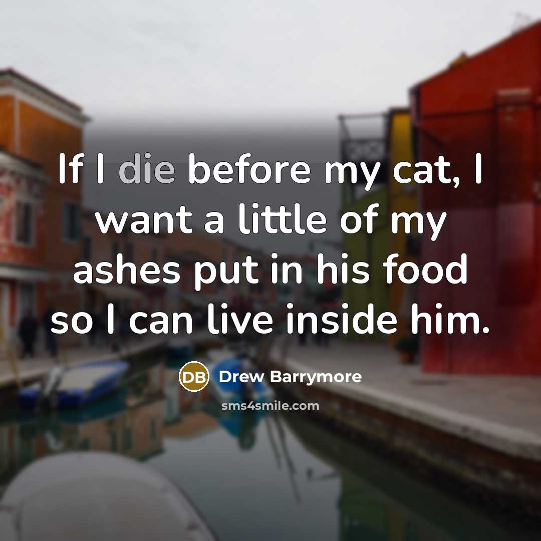 “If I die before my cat, I want a little…” quote by Drew Barrymore