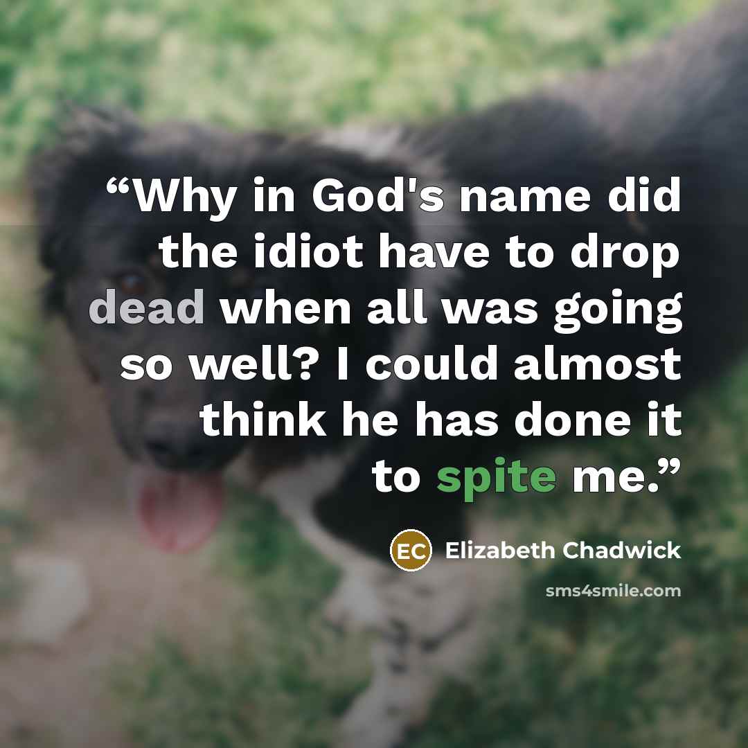 “Why in God's name did the idiot have to drop dead when all was going so well? I could almost think he has done it to spite me.” quote by Elizabeth Chadwick