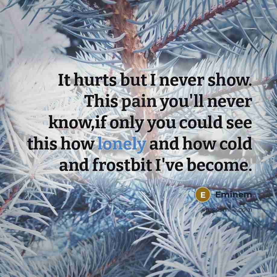 “It hurts but I never show. This pain you'll never…” quote by Eminem