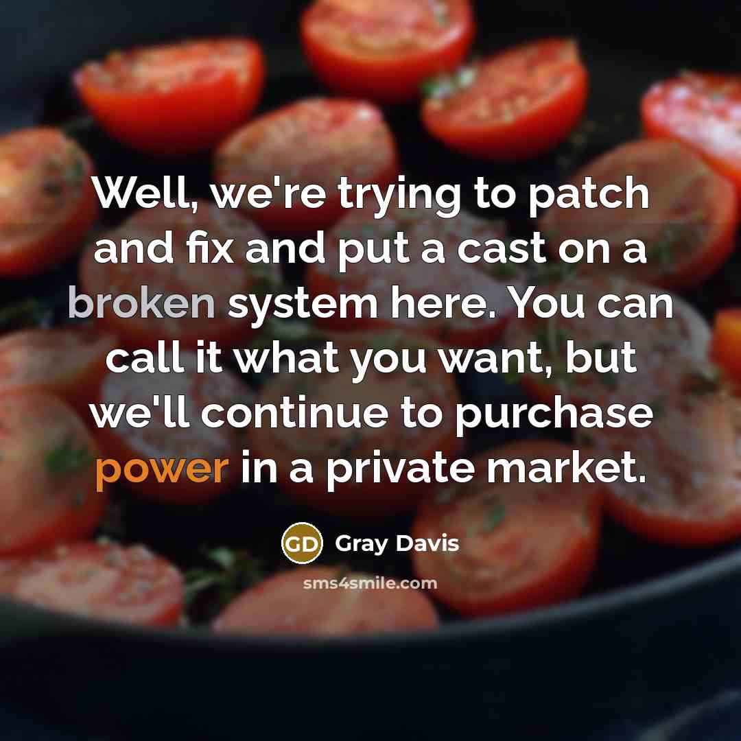 “Well, we're trying to patch and fix and put a…” quote by Gray Davis