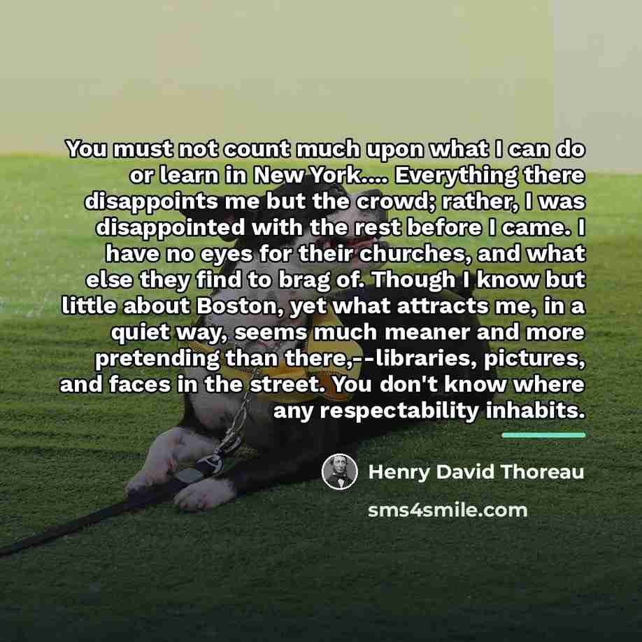 “You must not count much upon what I can do…” quote by Henry David Thoreau